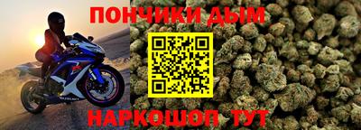 дживик Моздок