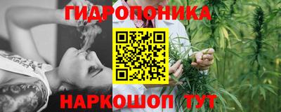 скорость Можга