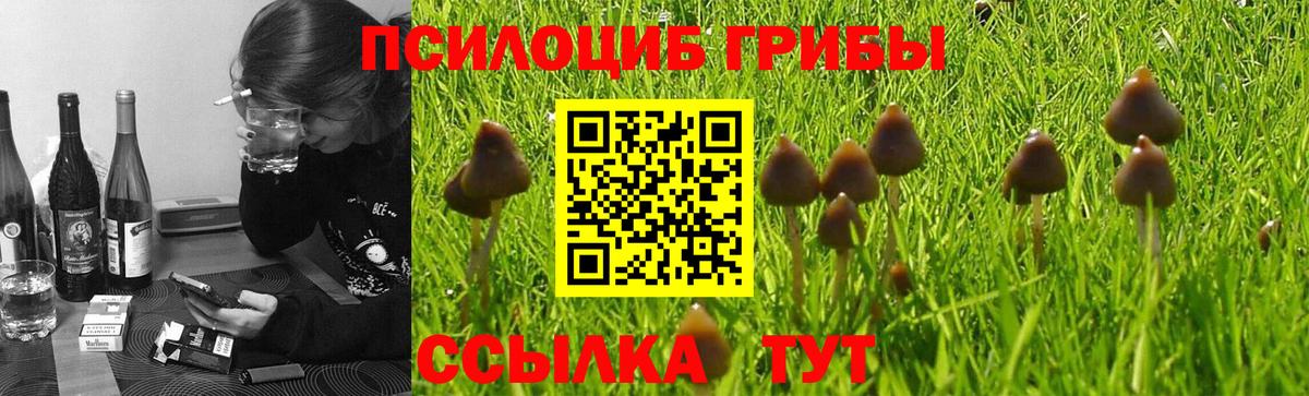 Галлюциногенные грибы Magic Shrooms  наркота  Елабуга  Вход с VPN 